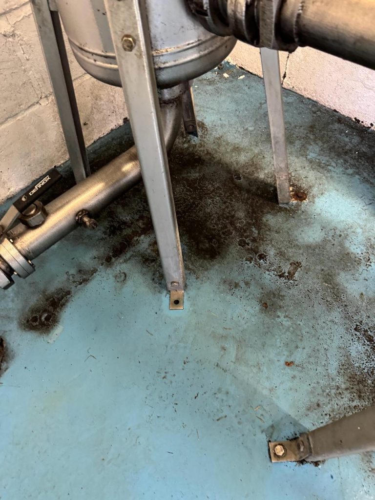 Mould growth on the original pump house floor